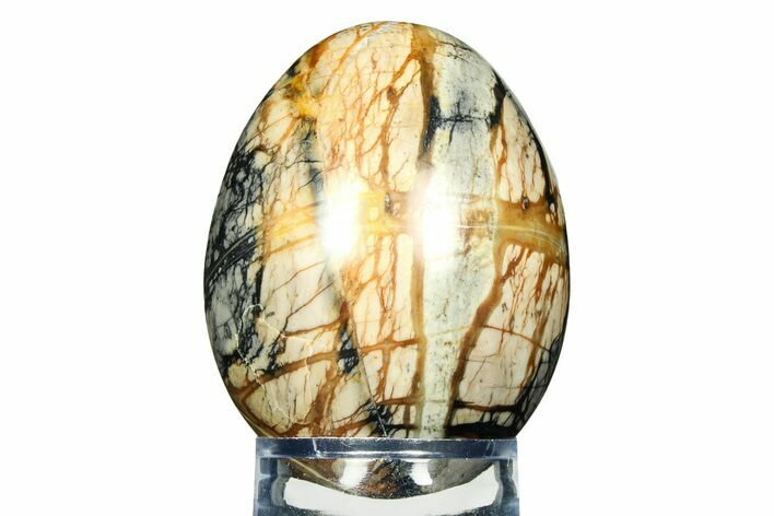 Polished Picasso Marble Egg - Utah #308716